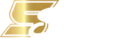 5Stakes logosu