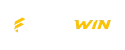 Festwin logosu
